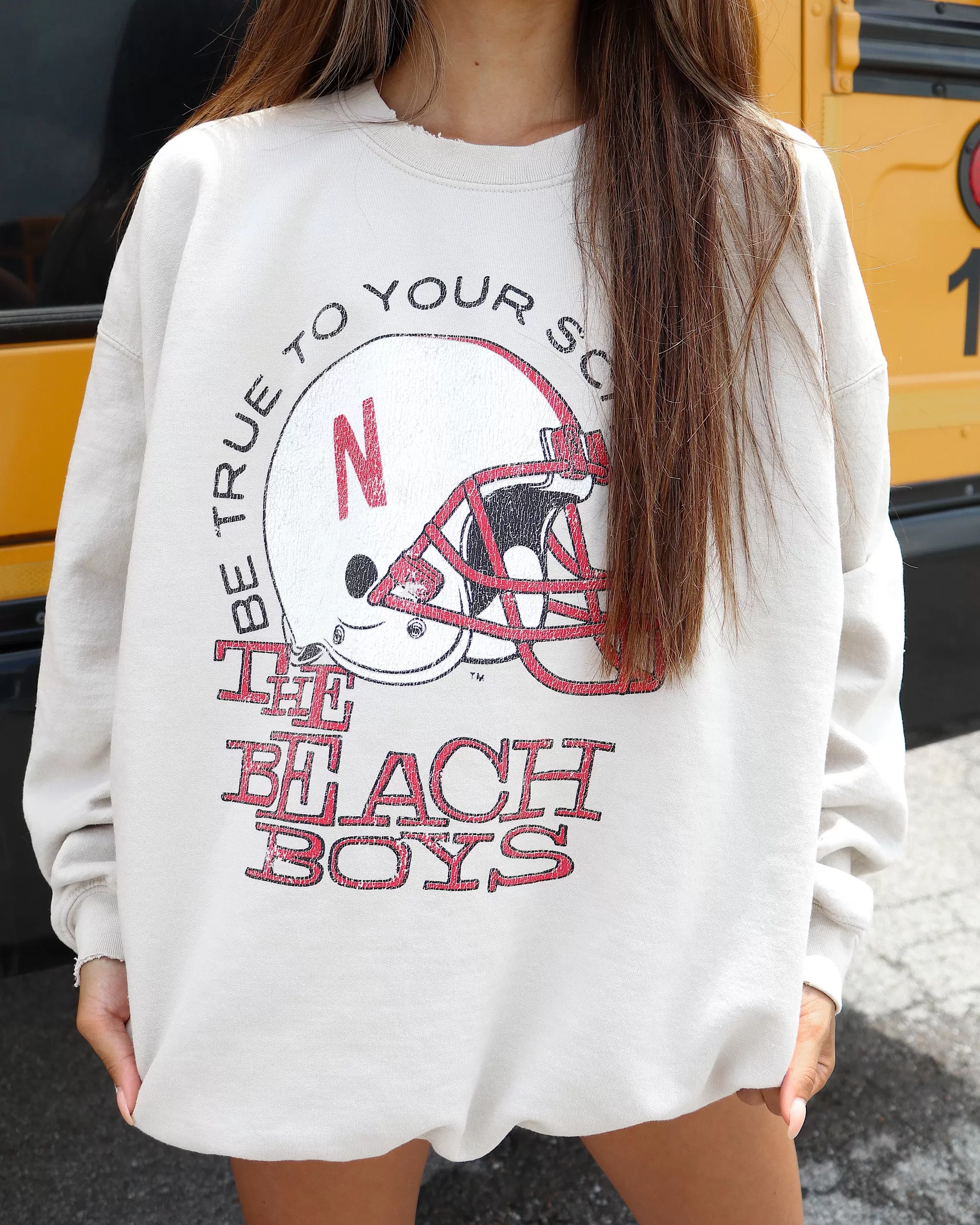 The Beach Boys Nebraska True To Your School Sand Thrifted Sweatshirt